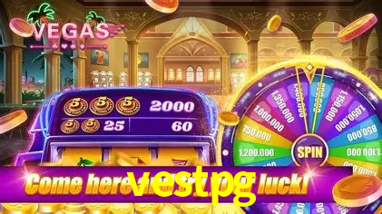 Flash Promotion vestpg